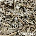 地骨皮 山西 统 优质大货 凉血除蒸 清肺降火