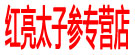 红亮太子参专营店