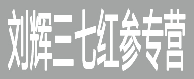 刘辉三七红参专营