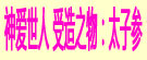 神爱世人 受造之物：太子参