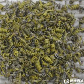 龙头凤尾石斛
