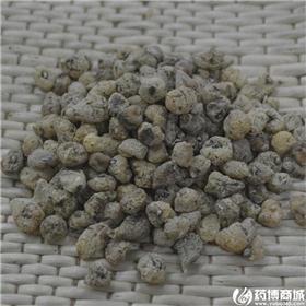 山慈菇 优质大货