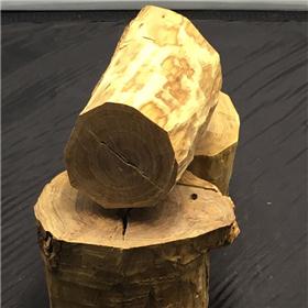 檀香 澳大利亚 大枝