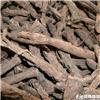 仙茅 个子