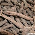 仙茅 个子