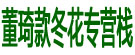 董琦款冬花专营栈