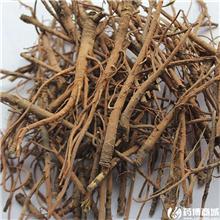 柴胡（甘肃）