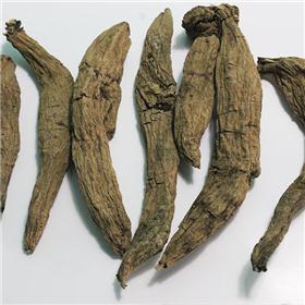 玄参个 各种规格 凉血滋阴 泻火解毒