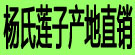 杨氏莲子产地直销