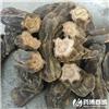 大黄 统 含量达国标