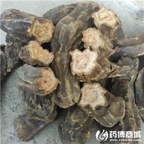 大黄 统 含量达国标