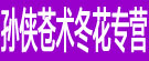 孙侠苍术冬花专营