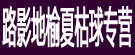 路影地榆夏枯球专营