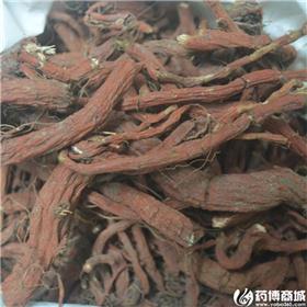 丹参 产地直销