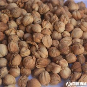白豆蔻（精选）