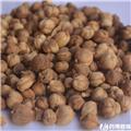 白豆蔻（统货）