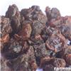桂圆肉（B级）