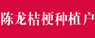 陈龙桔梗种植户