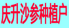 庆升沙参种植户