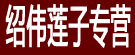 绍伟莲子专营