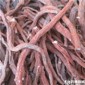 丹参 统货 个子
