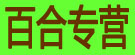 百合专营