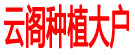 云阁种植大户