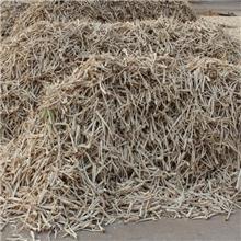 桔梗 个子 内蒙 统..