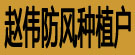 赵伟防风种植户