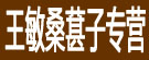 王敏桑葚子专营