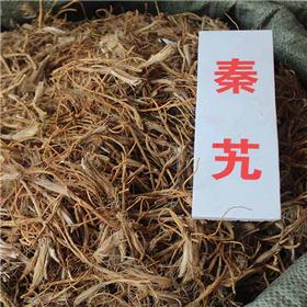 秦艽