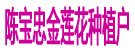 陈宝忠金莲花种植户