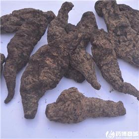 生地个（特级）河南 