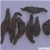 生地个子（河南）