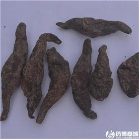 生地个子（河南）