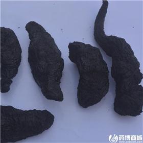 熟地个子（河南）