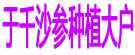 于千沙参种植大户