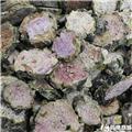 红景天 圆片