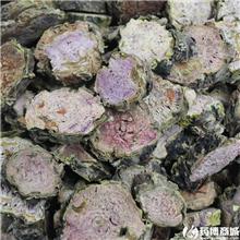 红景天 圆片