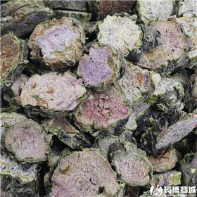 红景天 圆片
