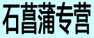 石菖蒲专营