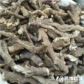 石菖蒲 优质大货
