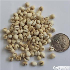 平贝母 黑龙江 小粒 
