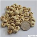 平贝母 黑龙江 中粒