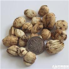 伊贝 统货 伊犁