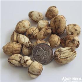 伊贝 统货 伊犁