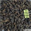 青翘 净货 