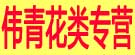 伟青花类专营