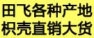 田飞各种产地枳壳直销大货