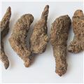 生地 个（河南）优质大货